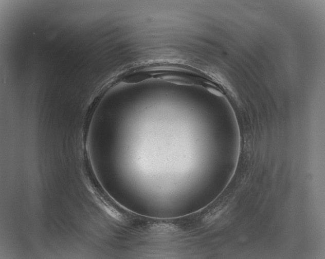 X0000074960397200609011152