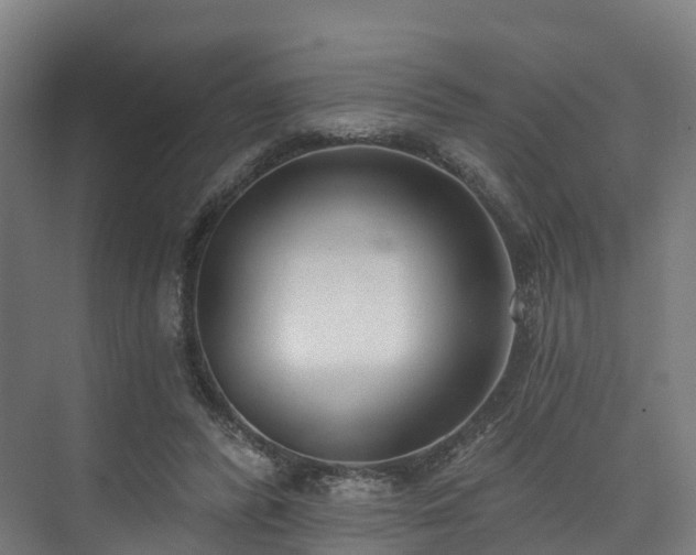 X0000074960400200609011152