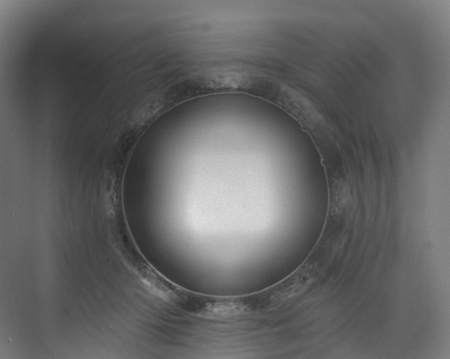 X0000074960414200609011151