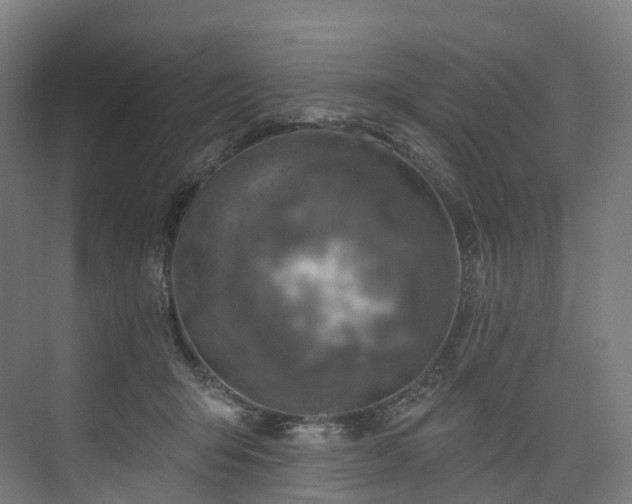 X0000074960415200609011151