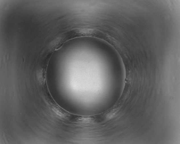 X0000074960428200609011151