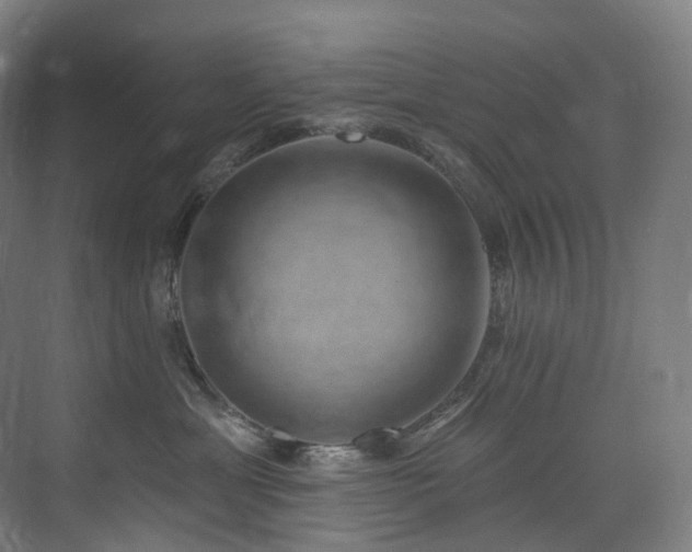 X0000074960429200609011151