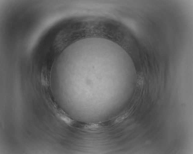 X0000074960431200609011151