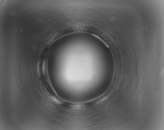 X0000074960432200609011151
