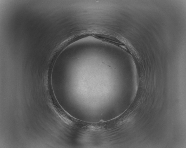 X0000074960442200609011150