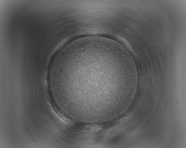 X0000074960443200609011150