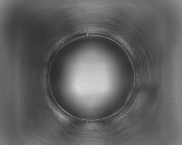 X0000074960445200609011150