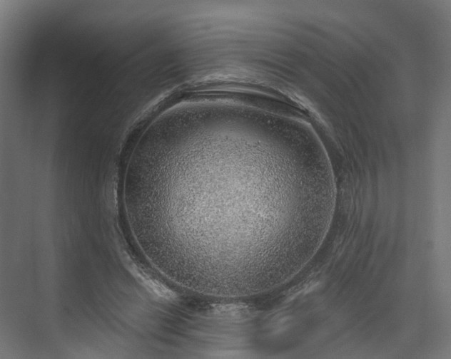 X0000074960446200609011150