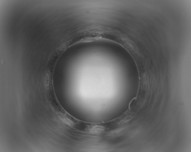 X0000074960463200609011151