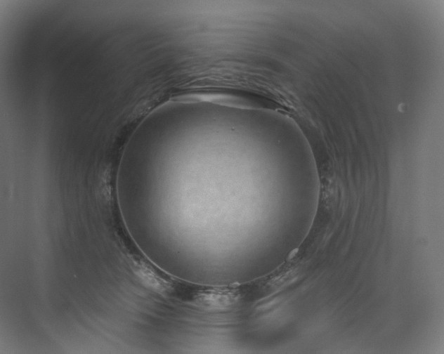 X0000074960466200609011151