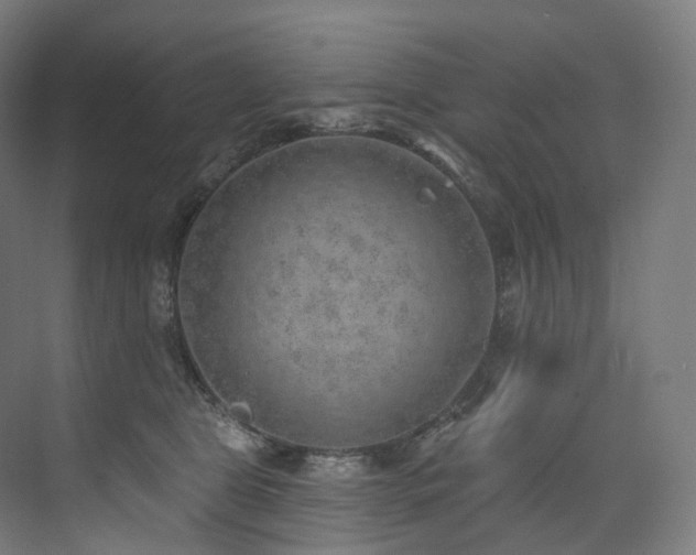 X0000074960469200609011151