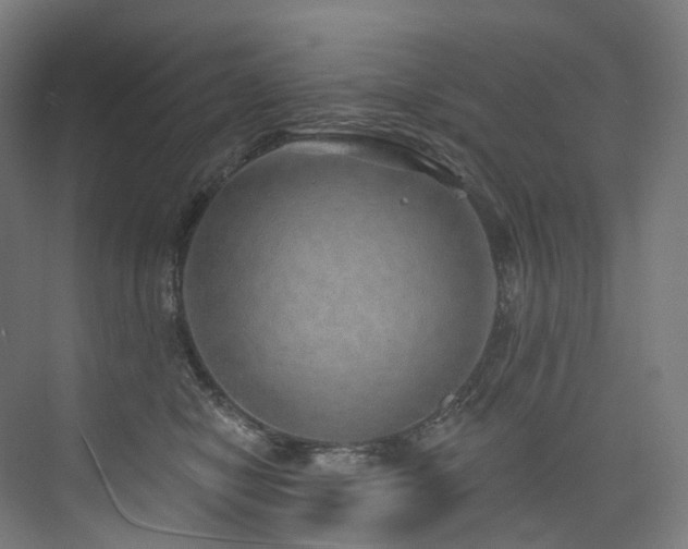X0000074960470200609011151