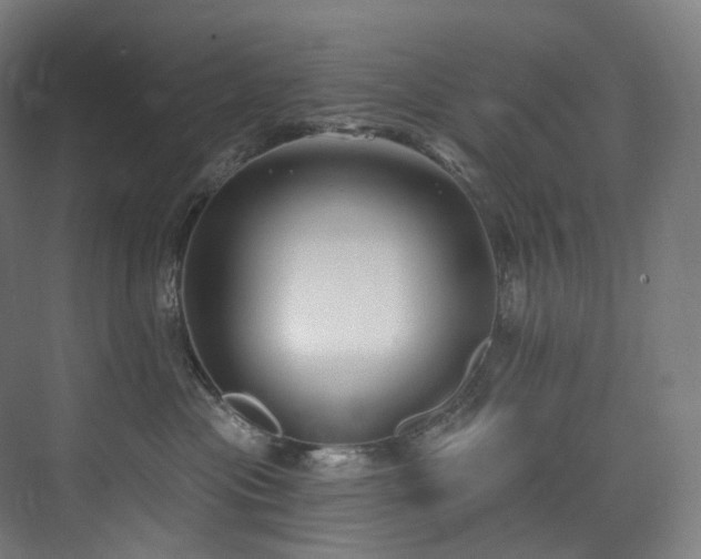 X0000074960477200609011151