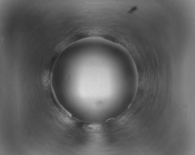 X0000074960478200609011151