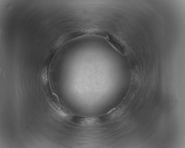 X0000074960479200609011151
