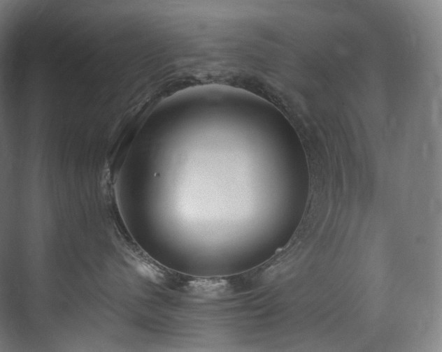X0000074960480200609011151