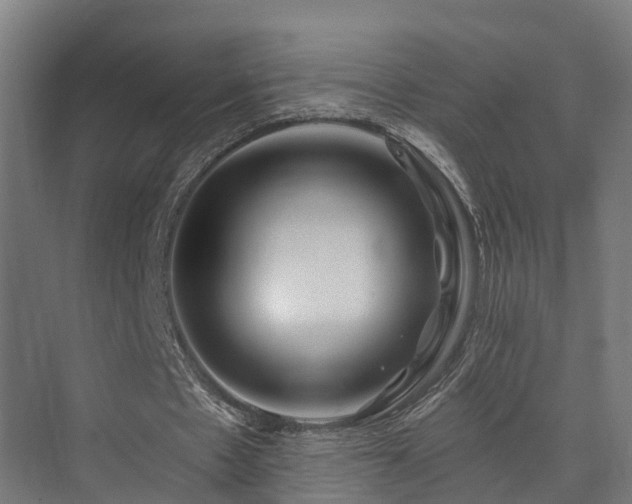 X0000074960481200609011150