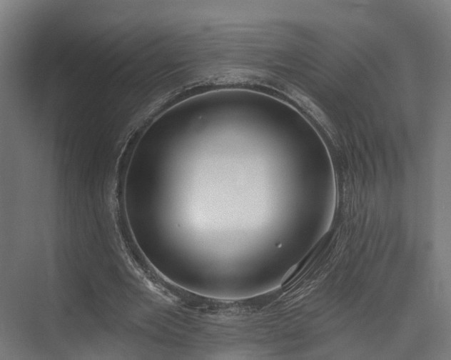 X0000074960485200609011150