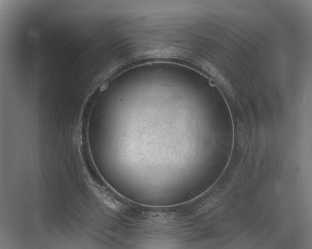 X0000074960486200609011150