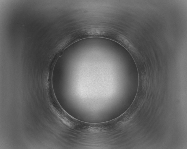 X0000074960490200609011150