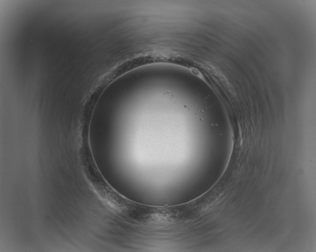 X0000074960496200609011150
