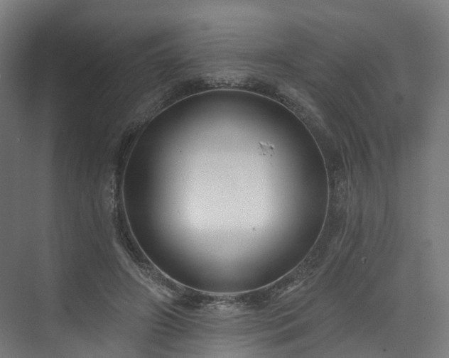 X0000074960498200609011150