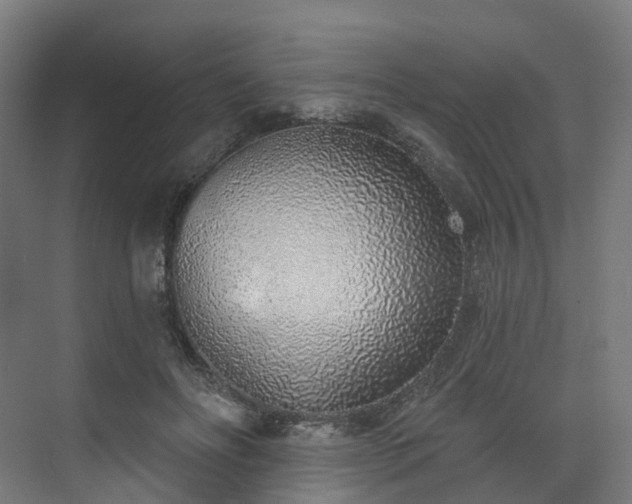 X0000074960502200609011150