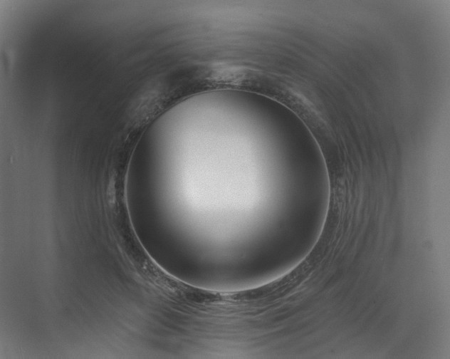 X0000074960504200609011150