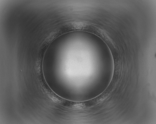 X0000074960505200609011150