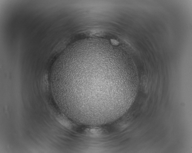 X0000074960506200609011150