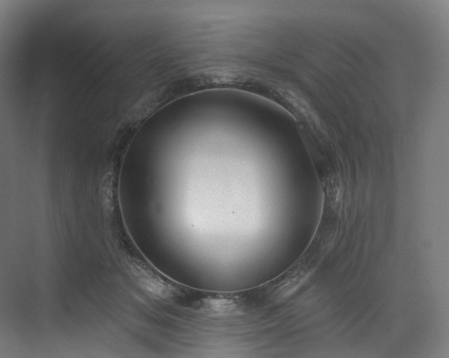 X0000074960509200609011150