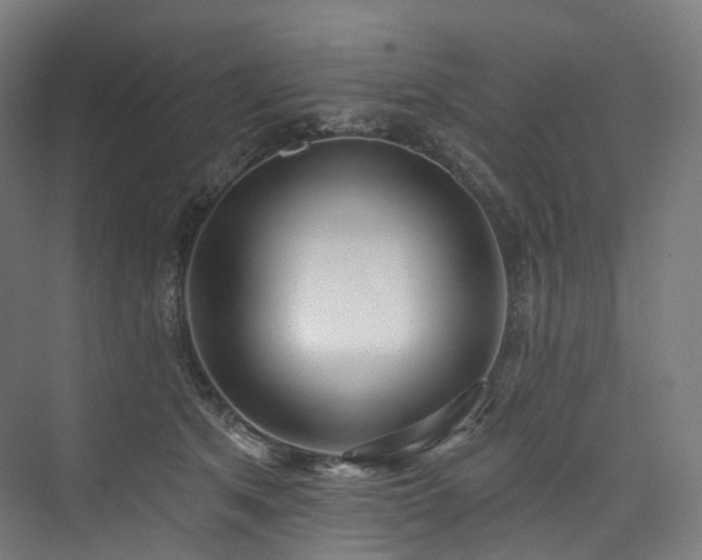 X0000074960513200609011150