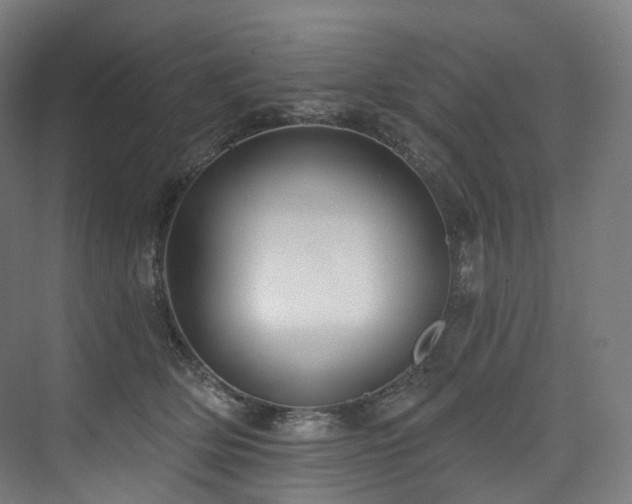 X0000074960514200609011150
