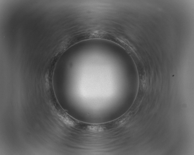 X0000074960520200609011150
