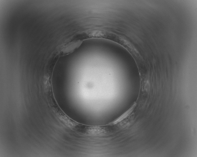 X0000074960521200609011149