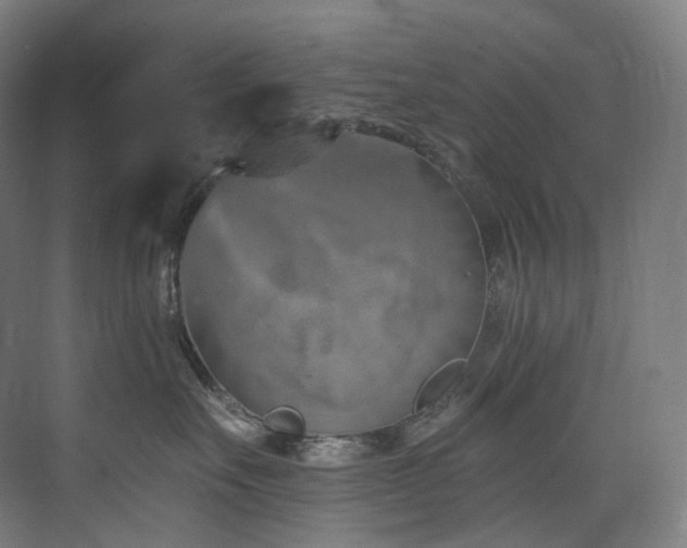X0000074960527200609011149