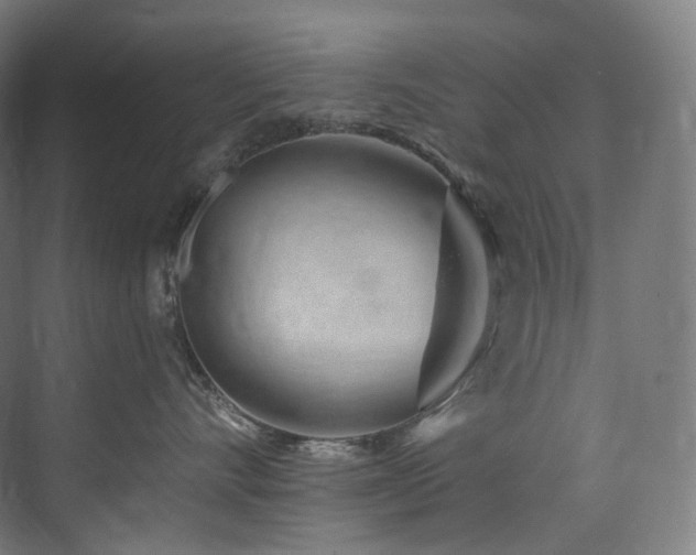 X0000074960528200609011149