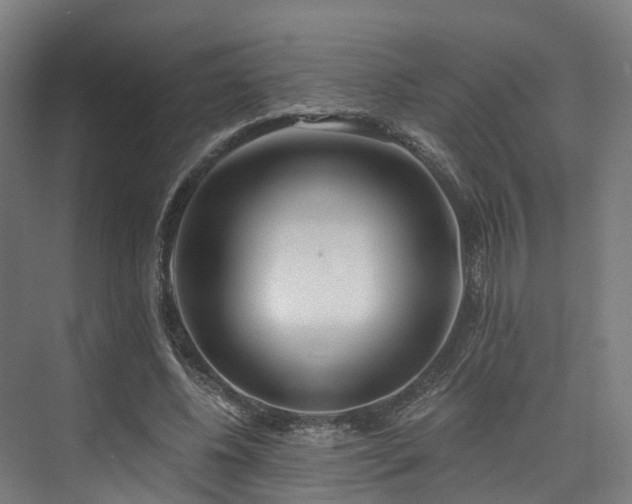 X0000074960540200609011149
