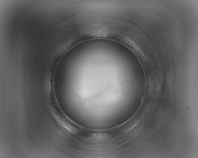 X0000074960541200609011149