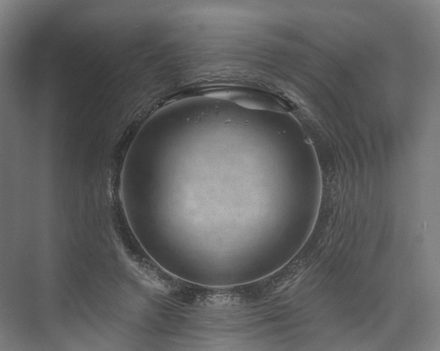 X0000074960546200609011149