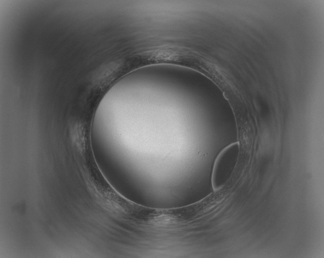 X0000074960551200609011149