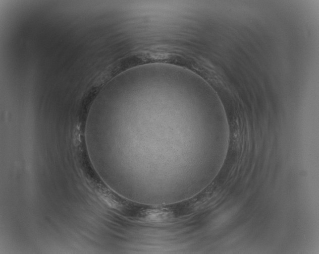 X0000074960555200609011149