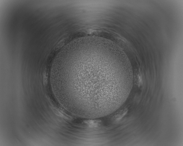 X0000074960558200609011149