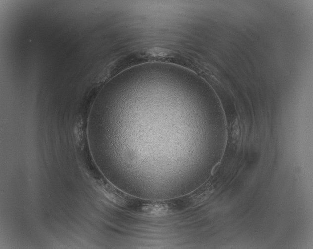 X0000074960559200609011149