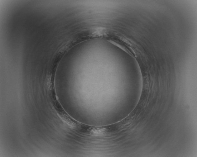 X0000074960560200609011149