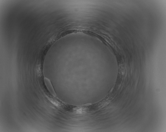 X0000074960564200609011149