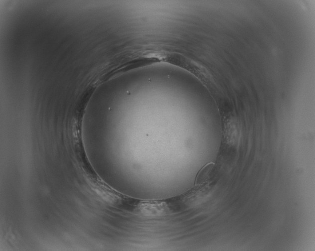 X0000074960571200609011149
