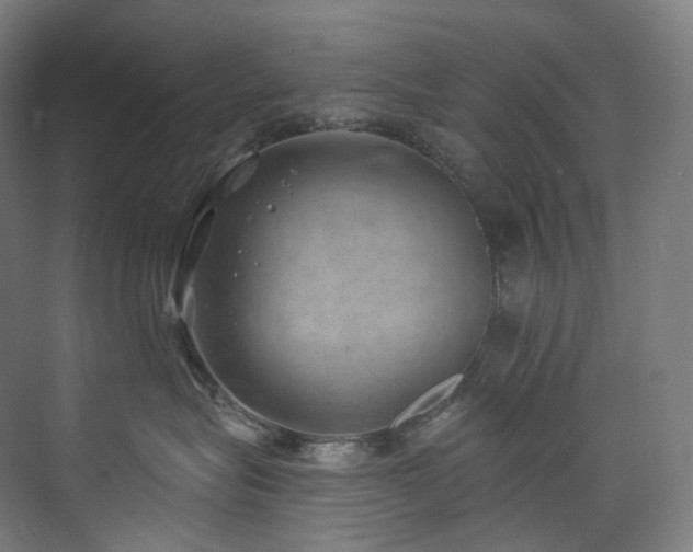 X0000074960575200609011149