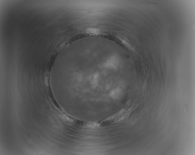 X0000074960576200609011149