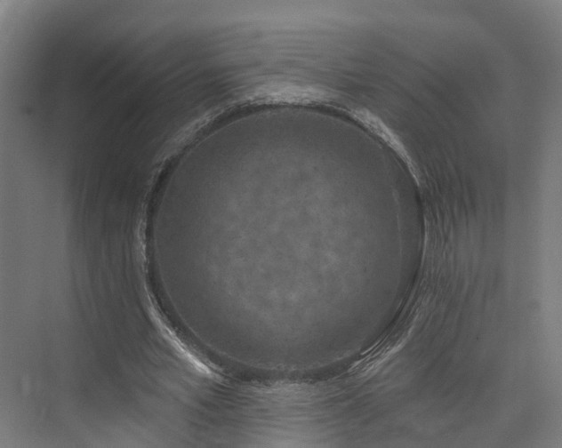 X0000074960581200609011148